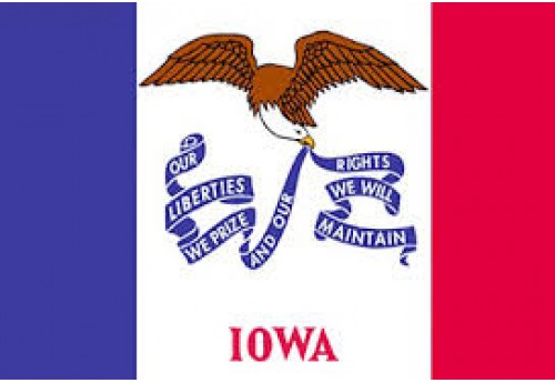 4'x6' Iowa State Flag Nylon